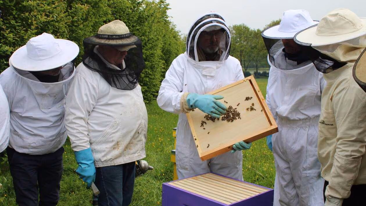 Thomas-apiculture Boutique -Thomas-apiculture Boutique