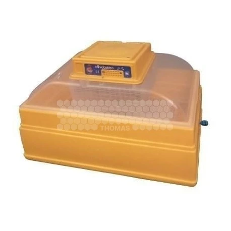 INCUBATEUR A REINES 1 INCUBATEUR A REINES