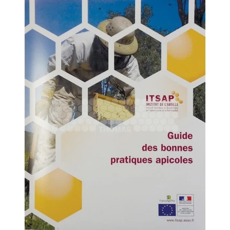 Guide ITSAP Bonnes Pratiques 1 Guide ITSAP Bonnes Pratiques