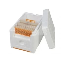 Ruchette Fécondation SWI-BINE