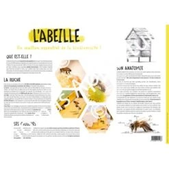 Poster Pédagogique L'abeille