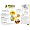 Poster Pédagogique Le Pollen